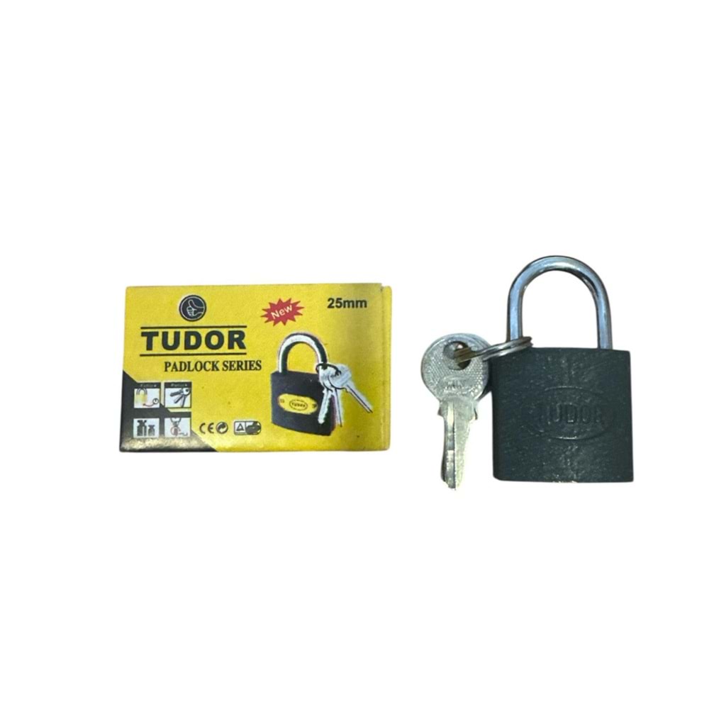 TUDOR 25 MM GRİ ASMA KİLİT
