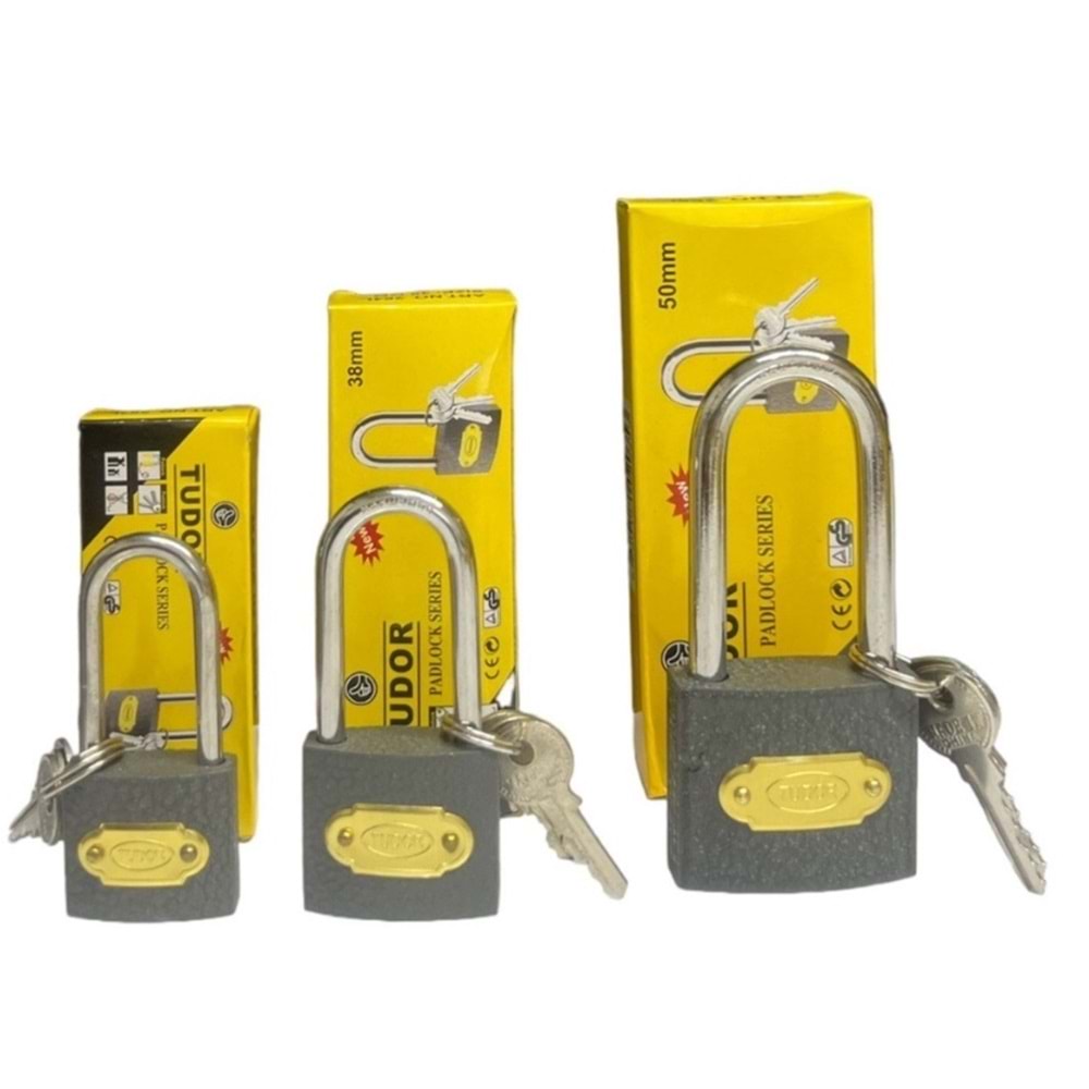 TUDOR ASMA KİLİT GRİ UZUN 38MM