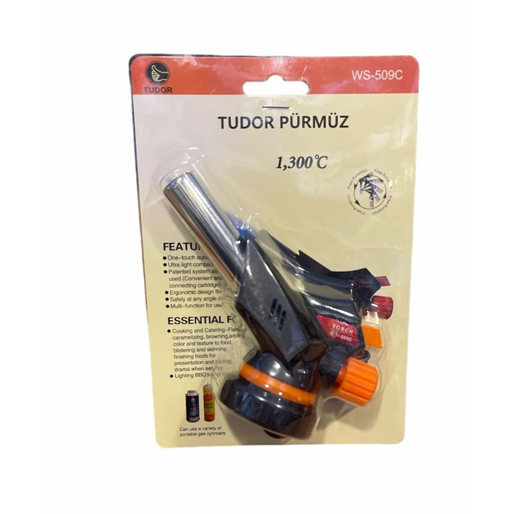 WS509 C TUDOR PÜRMÜZ BAŞLIĞI