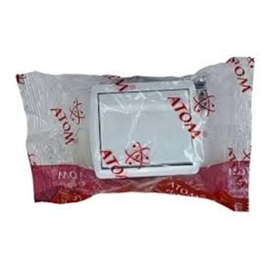 ASEL S.Ü KOMİTATÖR ATOM