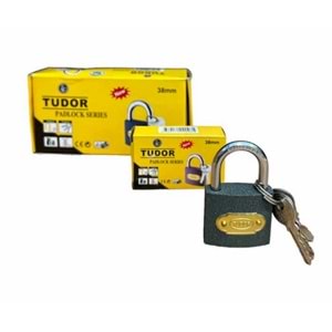 TUDOR 38 MM GRİ ASMA KİLİT