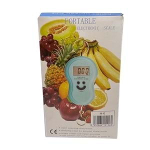 PORTABLE EL TERAZİSİ 50 KG