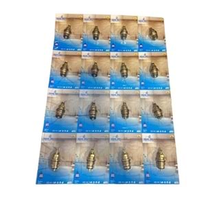 SALMASTRA NORMAL PRO VAKUM-