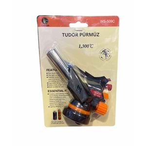 WS509 C TUDOR PÜRMÜZ BAŞLIĞI