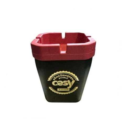 CESY KOKUSUZ KÜLLÜK KARE