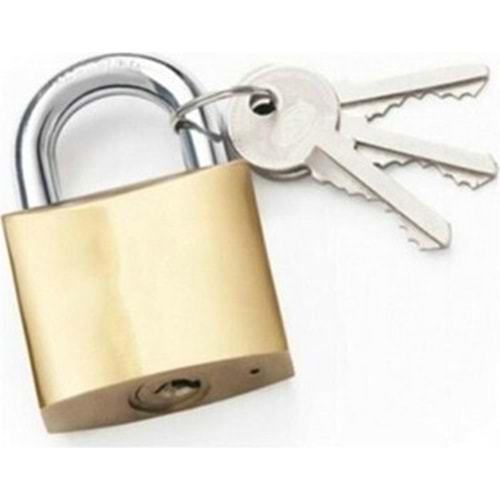 TUDOR 25 MM SARI ASMA KİLİT