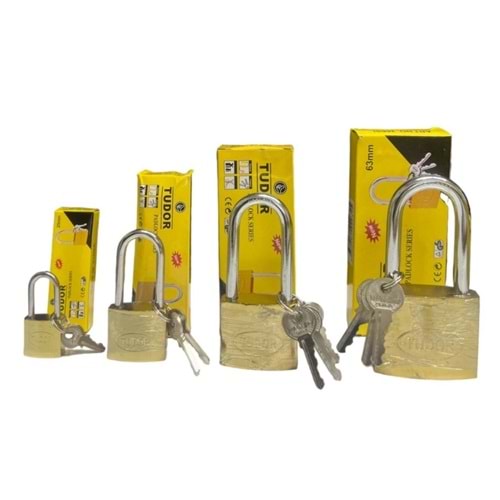 TUDOR ASMA KİLİT SARI UZUN 25 MM