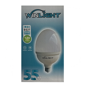 WINLIGHT YUMURTA AMPUL 55W (50)